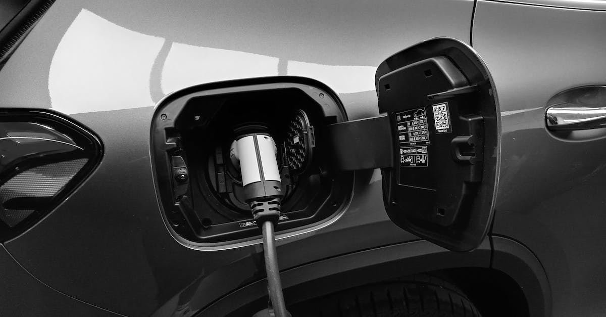 skyrim werewolf/vampirelord hybrid [duplicate] - Monochrome Photo of Hybrid Car charging
