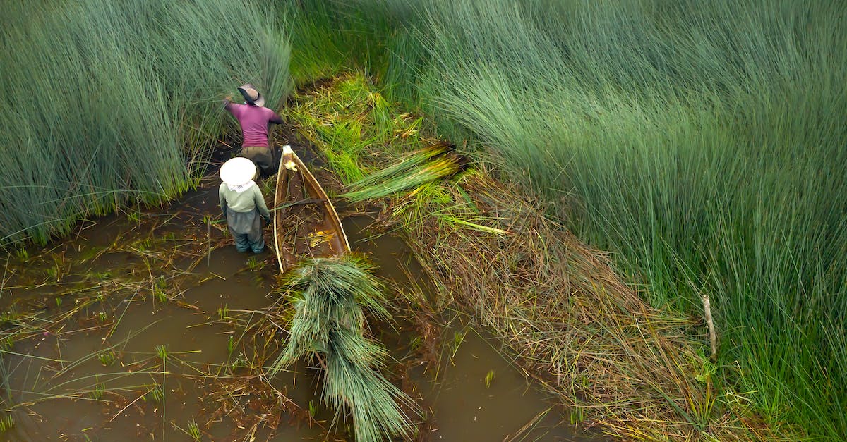 Slime Farm Issues - Man in White Shirt and Gray Pants Standing on Brown Wooden Log on River Slime Farm Issues - Man in White Shirt and Gray Pants Standing on Brown Wooden Log on River