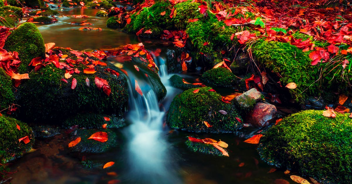 Slow motion in WWE 2k15 - Long-exposure Photography of a Stream Slow motion in WWE 2k15 - Long-exposure Photography of a Stream
