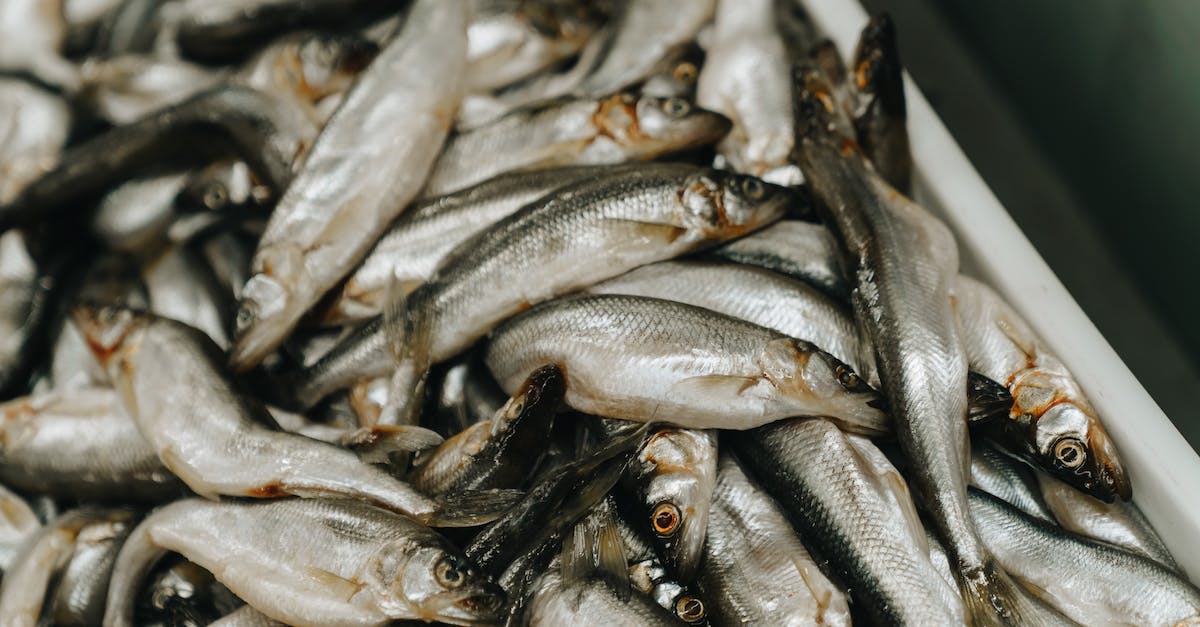 Smelting Titanium - Fishes on White Plastic Crate Smelting Titanium - Fishes on White Plastic Crate