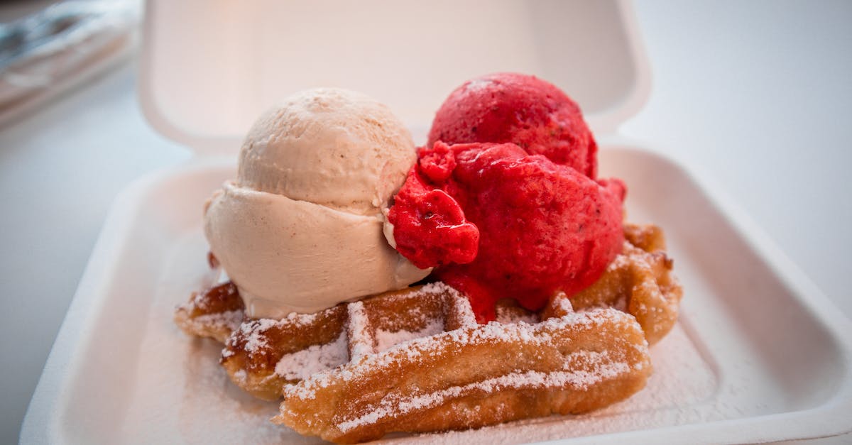 SMP Vanilla Chunk Loaders? - Brown and White Ice Cream on White Ceramic Plate