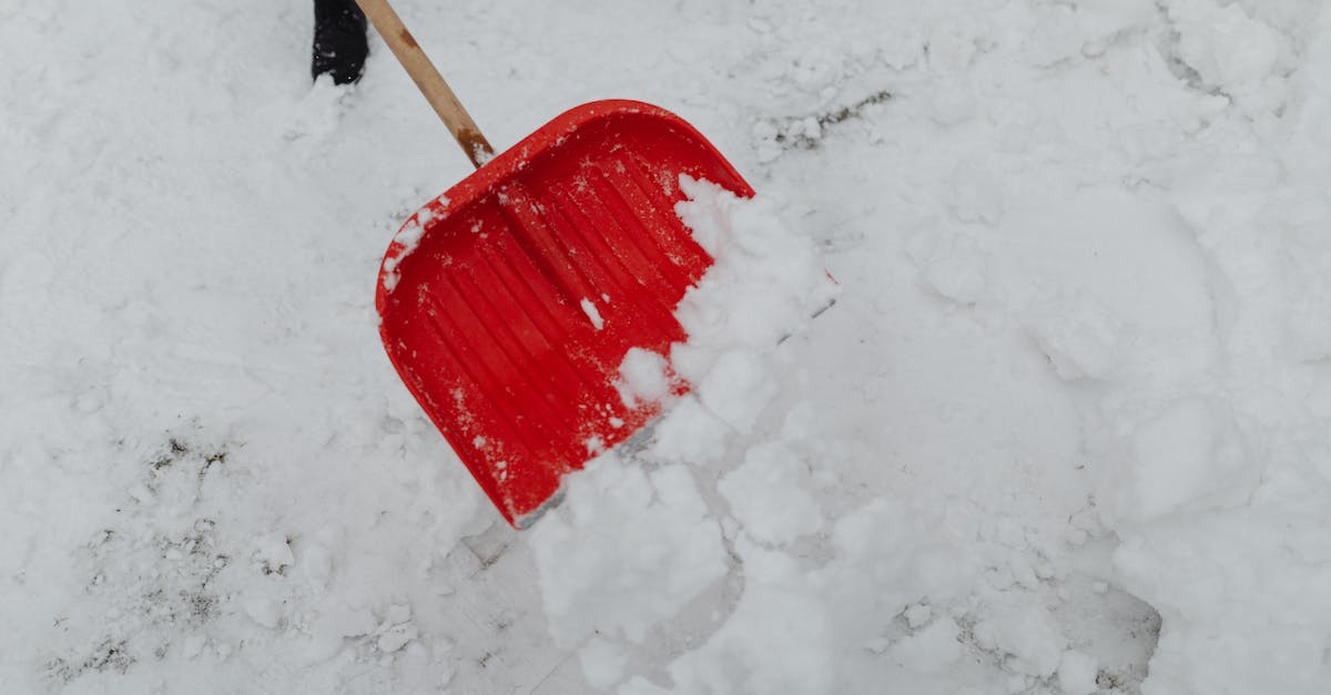 Snow Biome in Dungeon - Free stock photo of broken, christmas, cold Snow Biome in Dungeon - Free stock photo of broken, christmas, cold