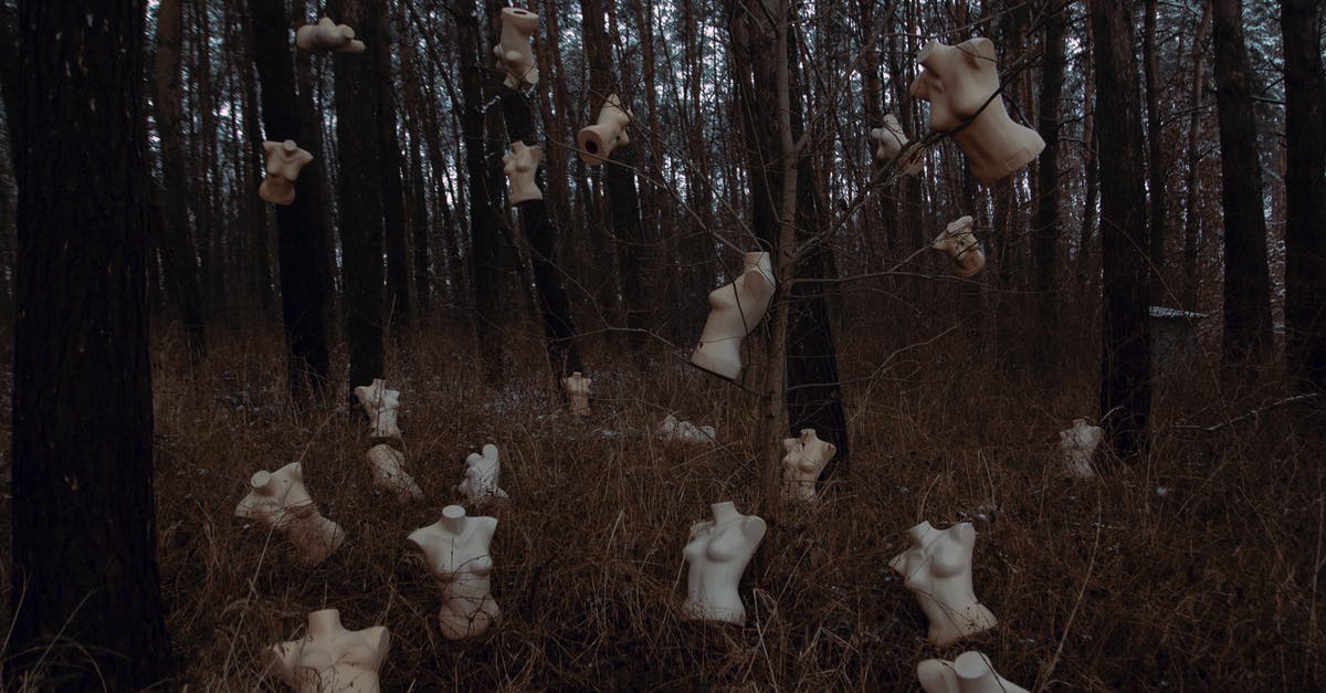 Sol Permits for Dummies - Mannequins hanging on Leafless Trees