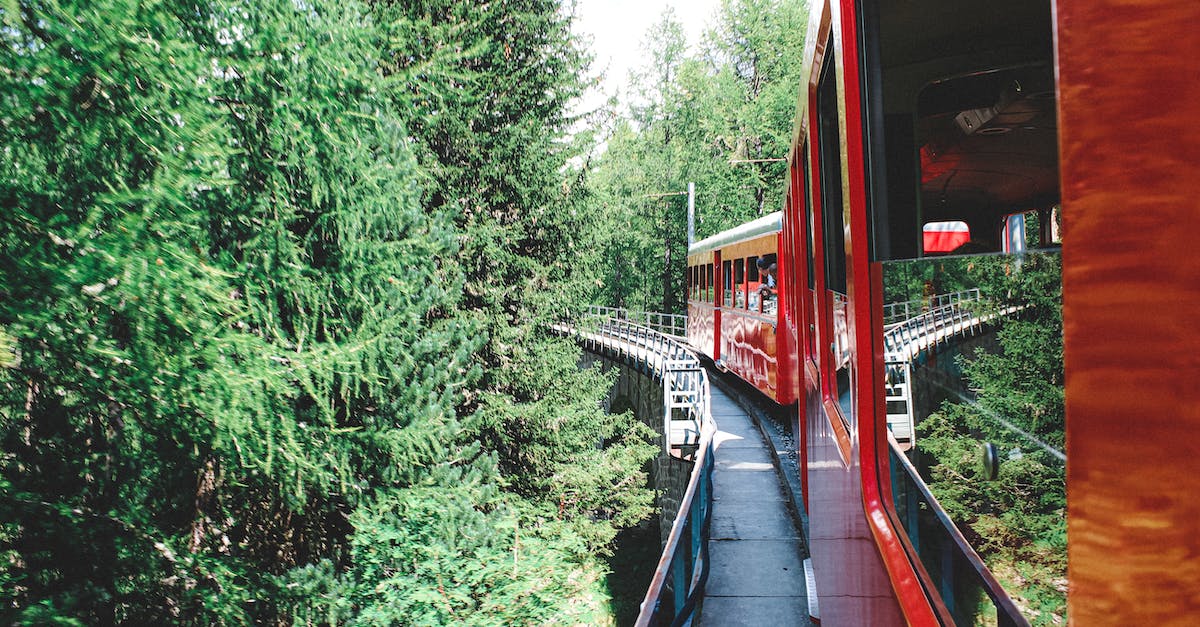 Specify a particular path (track) for a train - Train riding on railroad in green forest