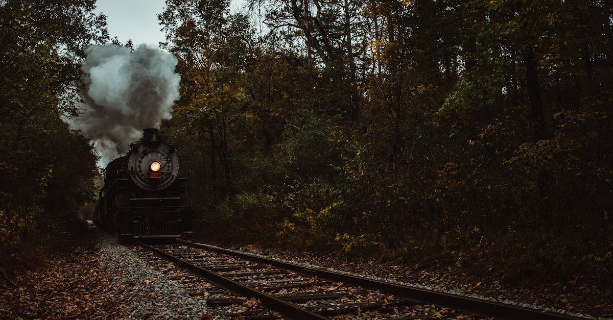 Specify a particular path (track) for a train - Train locomotive riding on rural railway track amidst verdant green forest trees in countryside