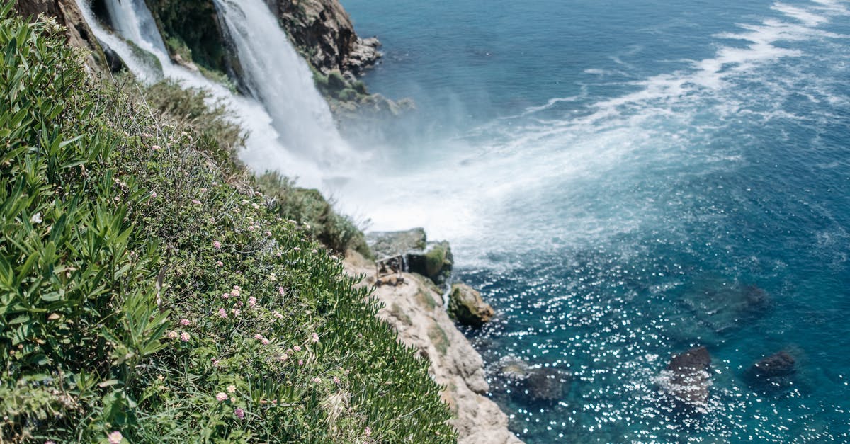 Splash Plate, Sea Incense, Wave Incense, which is best? - Green Grass on Rocky Shore Splash Plate, Sea Incense, Wave Incense, which is best? - Green Grass on Rocky Shore