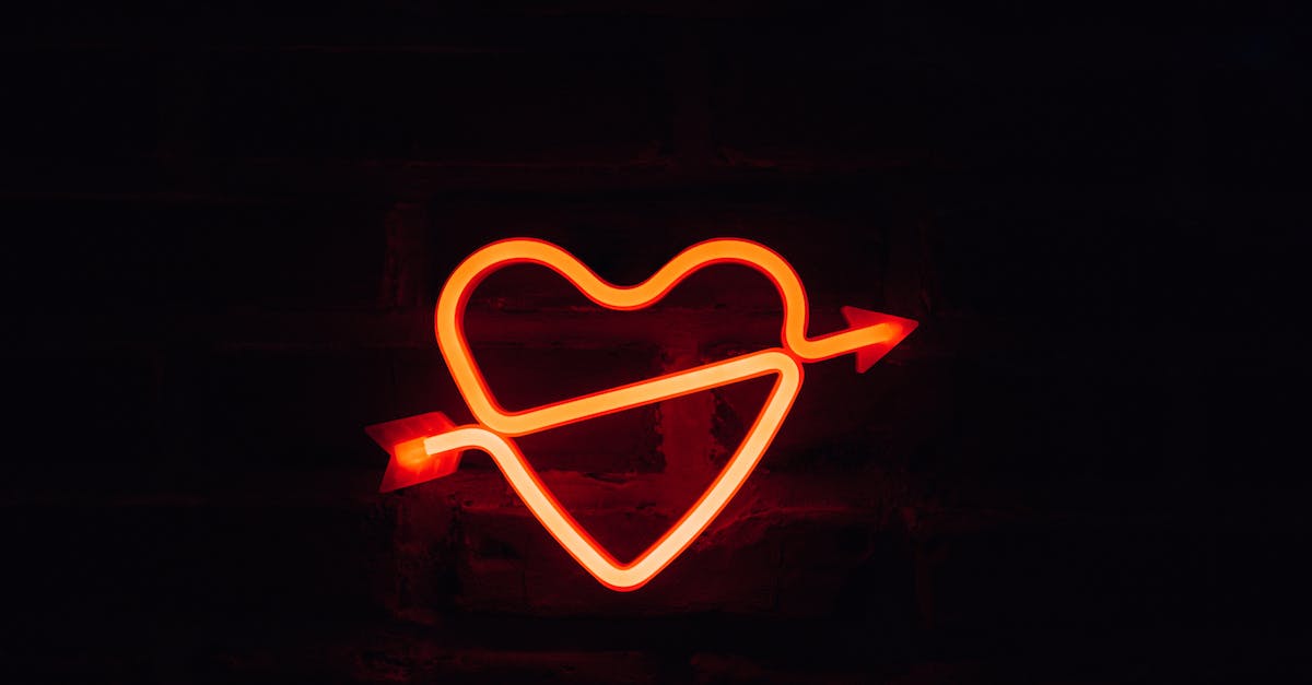 (Spoiler) Valiant Hearts, did Emile know about Karl? - Red Heart Neon Light Signage