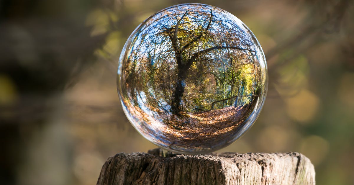 Standard vs Expert Sphere Grid - Macro Photography of Tree