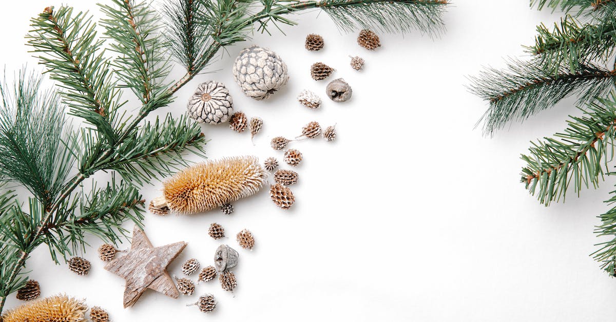 Star Wars Force Collection (SWFC) failure in Genymotion - Overhead view of spruce tree twigs with different dry cones and star shaped decor