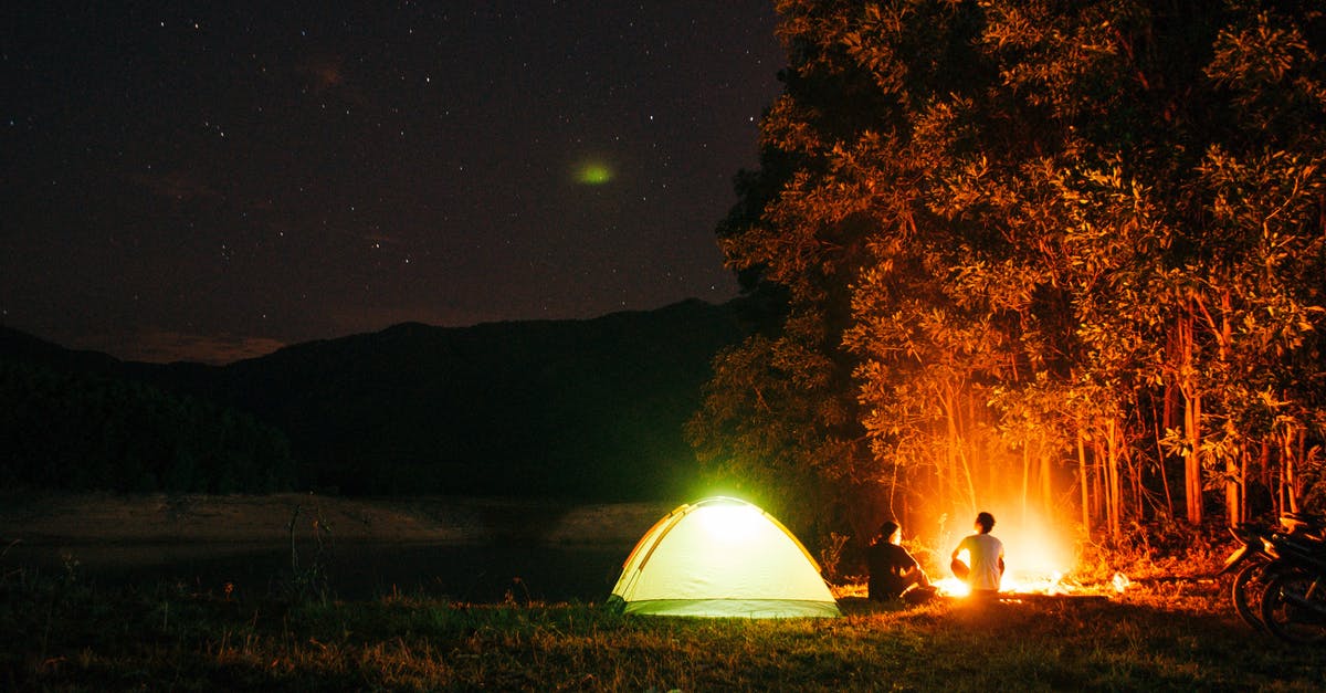 Stars next to people in Life is Strange - People Camping Near Trees during Night Time Stars next to people in Life is Strange - People Camping Near Trees during Night Time