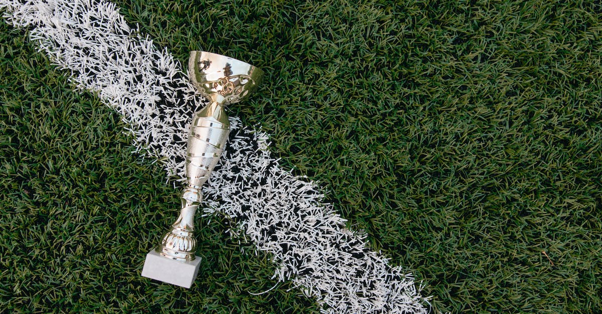 Started game before trophy support; after update (which adds trophies), they still can't be earned? - Gold Trophy on Green Grass Field