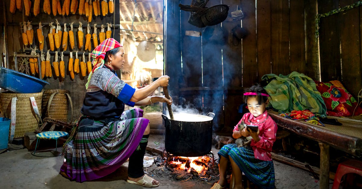 Steam "Connect" Protocol - Side view of Asian woman sitting and preparing food in cauldron against wall with corn while little daughter surfing smartphone in old wooden barn
