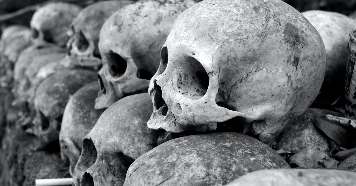 Stone heads in Lhe a Rhemen - Grey Skulls Piled on Ground