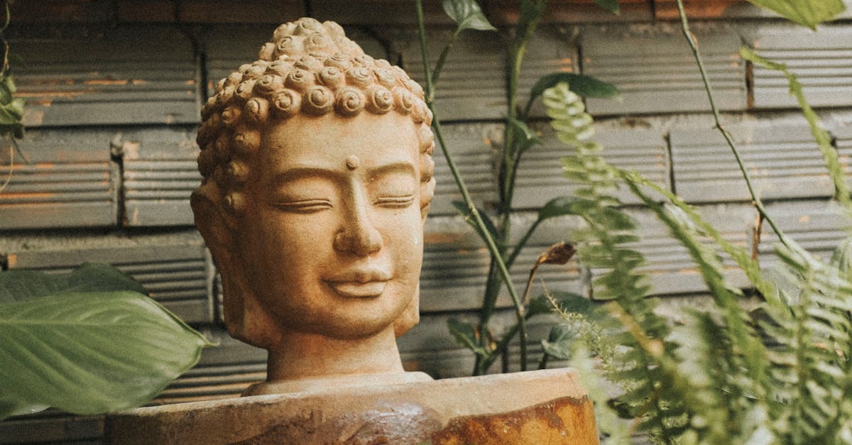 Stone heads in Lhe a Rhemen - Selective Focus Photography Of Buddha Head