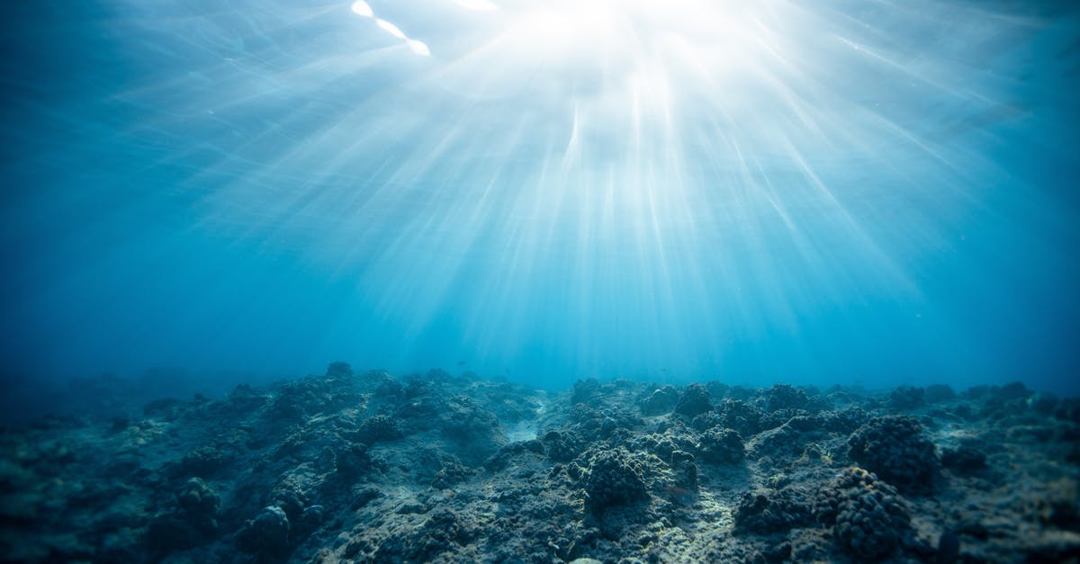 Stranded Deep - Can't water plot - Underwater Photography of Ocean