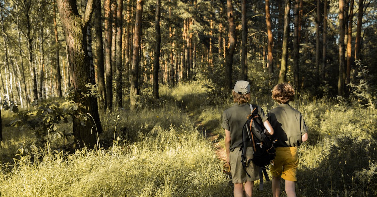 Strategies on flanking enemies as Scout - Boys Walking in Forest Together Strategies on flanking enemies as Scout - Boys Walking in Forest Together