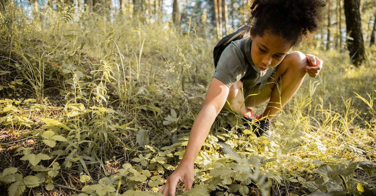 Strategies on flanking enemies as Scout - Teenager on an Adventure in a Forest Picking a Plant from the Ground Strategies on flanking enemies as Scout - Teenager on an Adventure in a Forest Picking a Plant from the GroundÂ