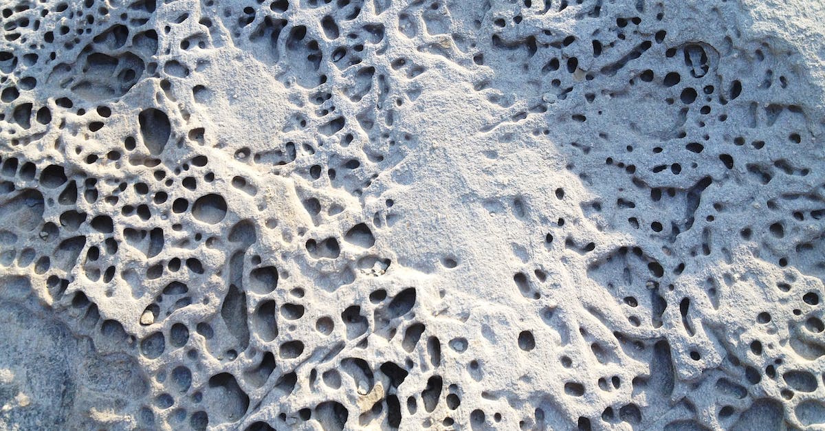 Stuck in a hole with water above me - Textured stone surface of sea coral