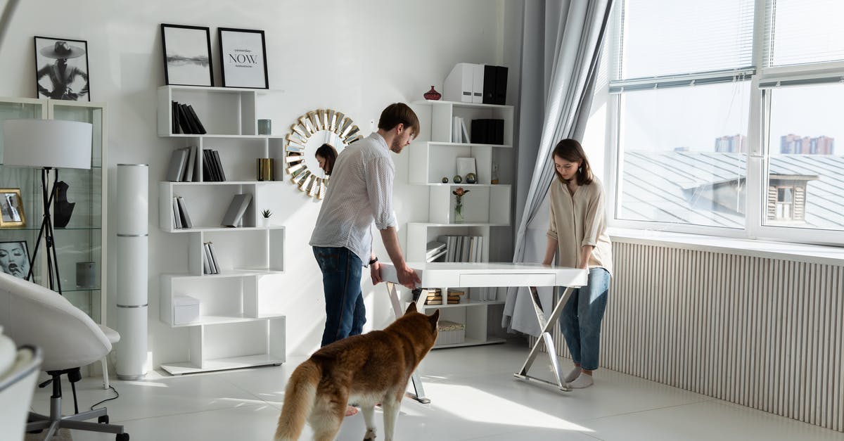 Stuck in pet moving situation - Couple Moving White Desk
