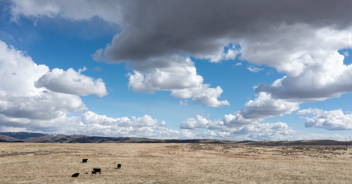 Summoning falling grass in an area - White cumulus clouds floating on blue sky over grassy vast terrain against hilly area in nature on sunny autumn day