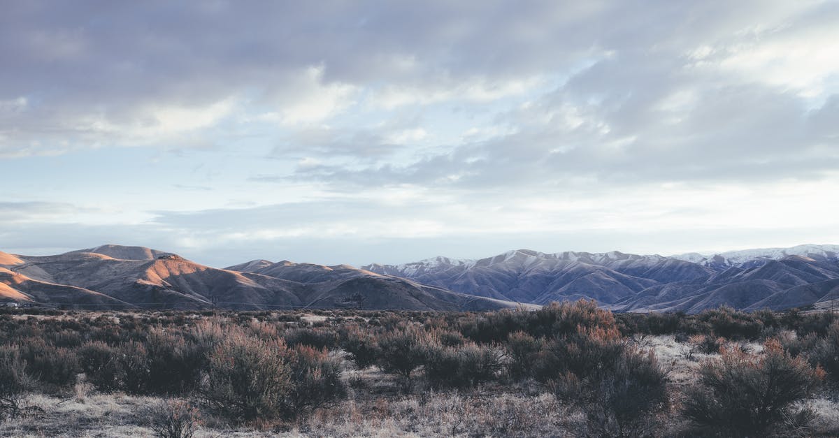 Summoning falling grass in an area - Field with shrubs against mountains Summoning falling grass in an area - Field with shrubs against mountains