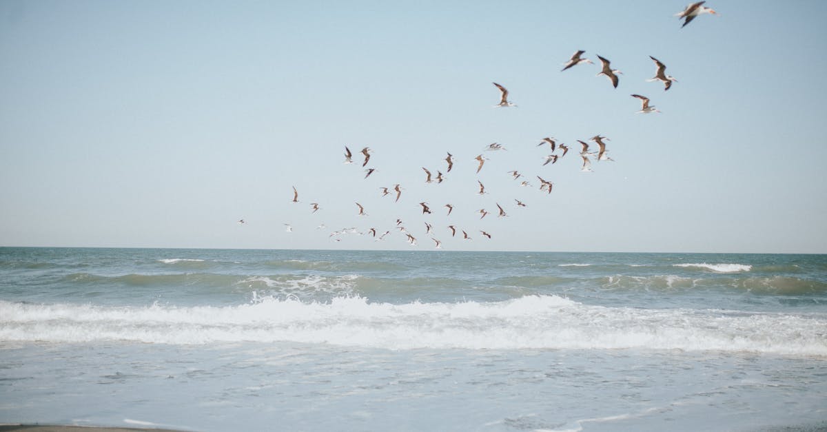 Sustained flight with Fallout 4 Power Armor Jetpack? - Birds flying on blue sky over waving sea Sustained flight with Fallout 4 Power Armor Jetpack? - Birds flying on blue sky over waving sea