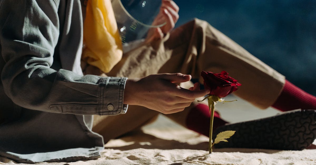 Switching Character View - Person Sitting on Sand Touching a Red Flower Switching Character View - Person Sitting on Sand Touching a Red Flower