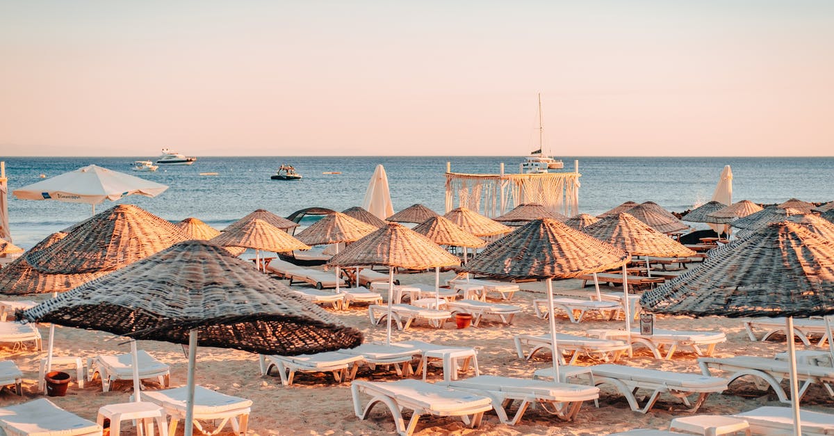 Sword Coast Legends official campaign playable with DM? - 