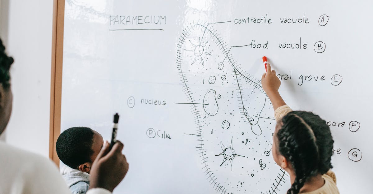 Team Fortress 2: What is the purpose of "Support Points"? - Diverse pupils and teacher studying parts of primitive organism