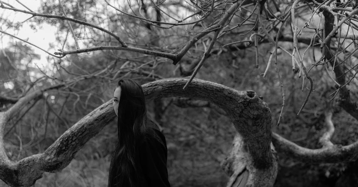 Teleporting certain people - Free stock photo of animal, asian, asian beauty