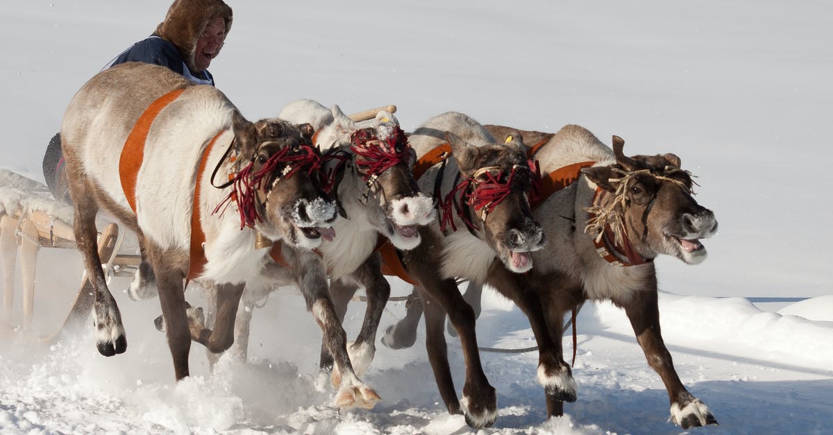 Temple Run 2 - Cannot pass the Slip n Sled Objective - A Set of Ponies Pulling a Sled on Snow Covered Ground Temple Run 2 - Cannot pass the Slip n Sled Objective - A Set of Ponies Pulling a Sled on Snow Covered Ground