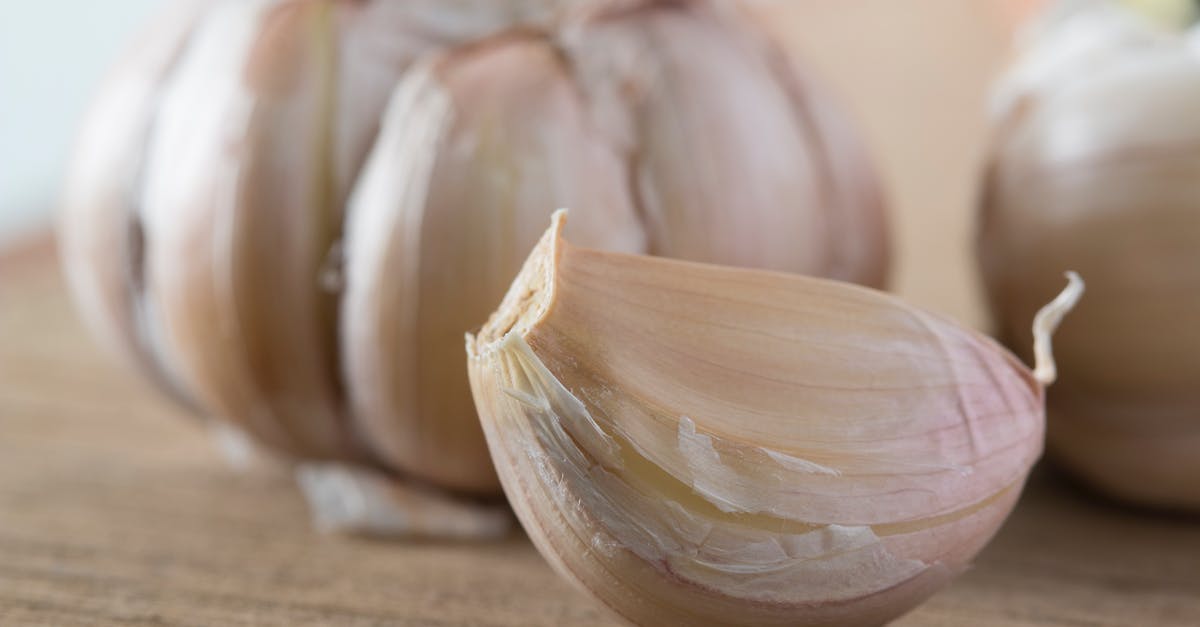 Terraria - How To Find Plantera Bulb Easiest Way [duplicate] - Free stock photo of bulb, clove, cooking