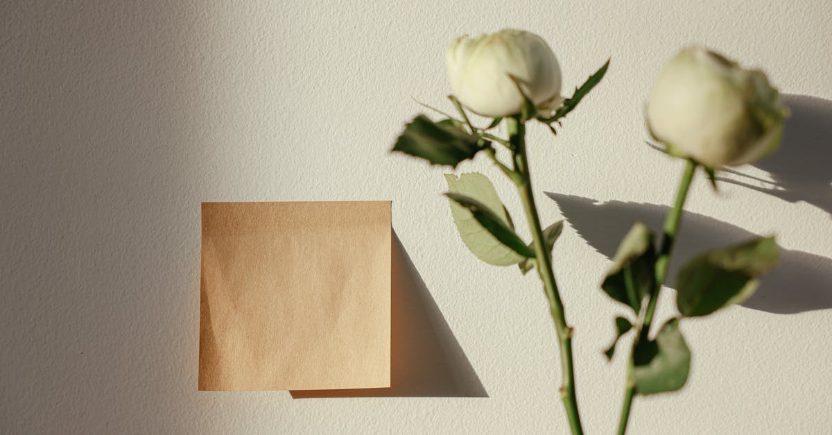 Terraria: Wall of Flesh Expert Mode - White Rose in Clear Glass Vase