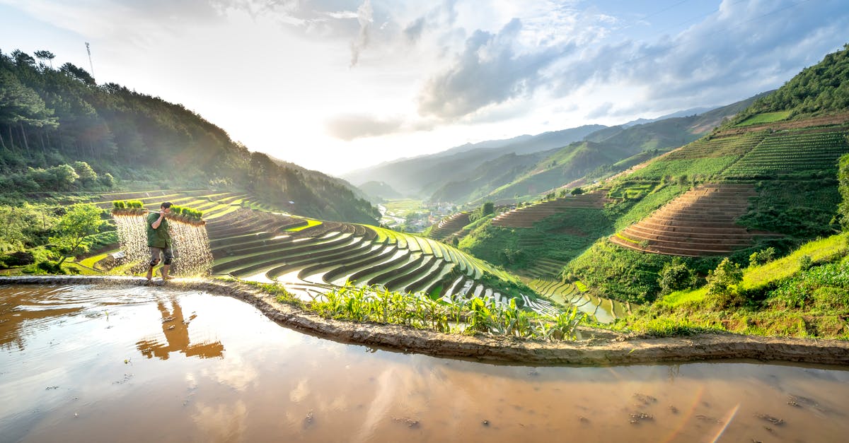 /testfor levels in Minecraft - Idyllic View of a Man Carrying Plants on Rice Terraces and Reflecting in a Mud /testfor levels in Minecraft - Idyllic View of a Man Carrying Plants on Rice Terraces and Reflecting in a Mud