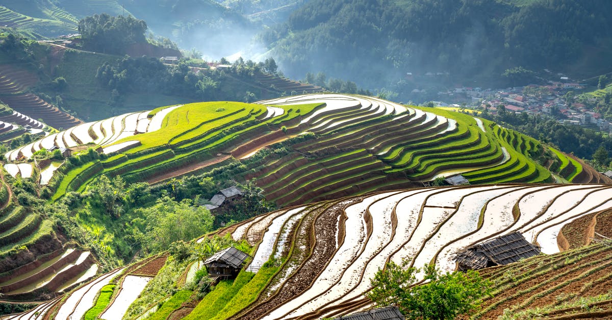 /testfor levels in Minecraft - Free stock photo of agriculture, countryside, crop /testfor levels in Minecraft - Free stock photo of agriculture, countryside, crop