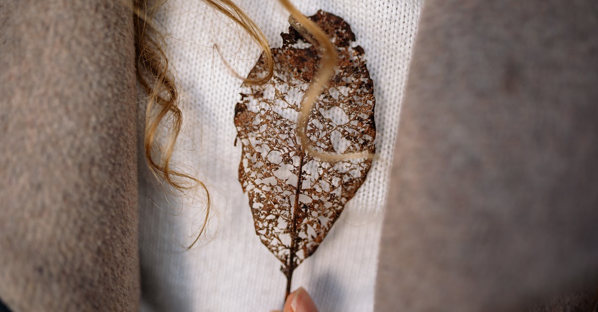 Testing for a Certain Structure - Free stock photo of art, breakfast, canvas