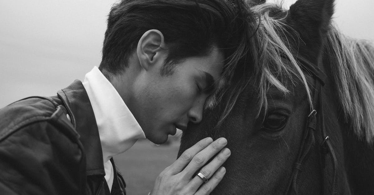 Tetromino translation without tilting my head - Free stock photo of adult, affection, animal Tetromino translation without tilting my head - Free stock photo of adult, affection, animal