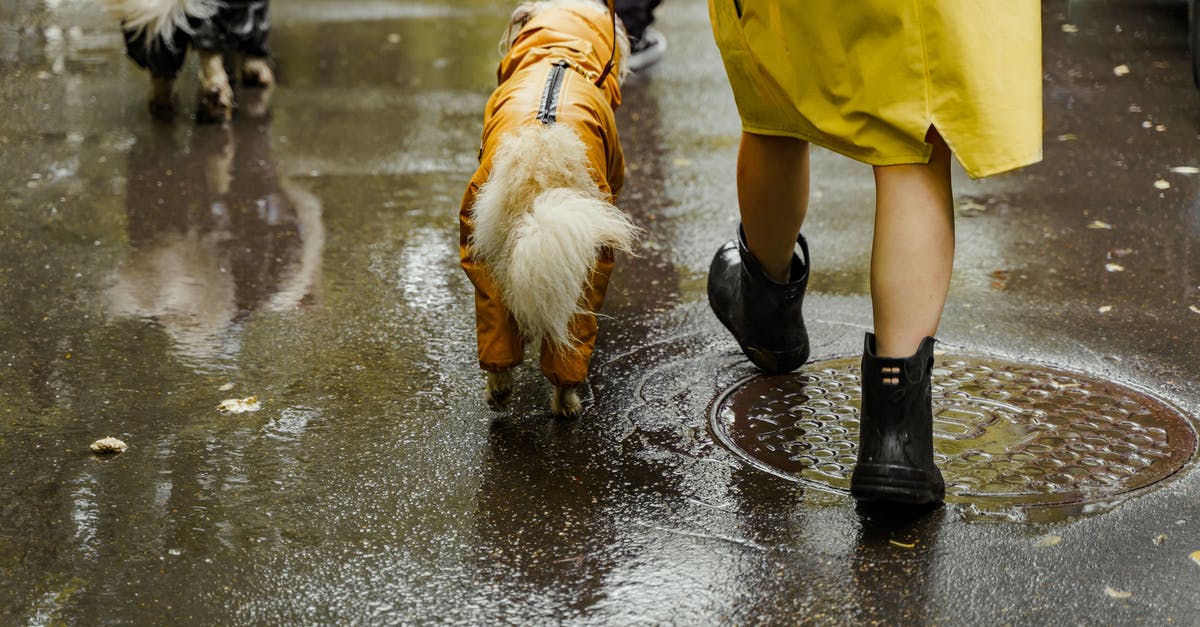 The daedric boots are bugging out - Person in Yellow Raincoat and Black Boots Walking on Wet Road The daedric boots are bugging out - Person in Yellow Raincoat and Black Boots Walking on Wet Road