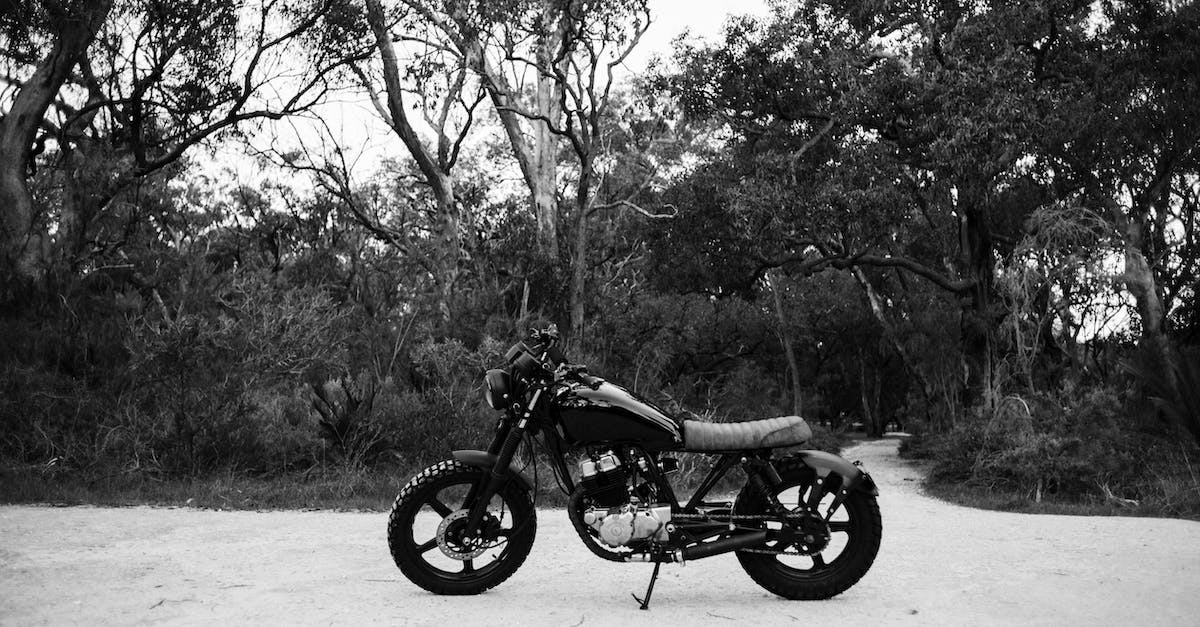 The sand buggy has one wheel stuck in the ground and I can't continue - Black and white of metal motorcycle parked on sandy road near forest with deciduous trees and lush bushes