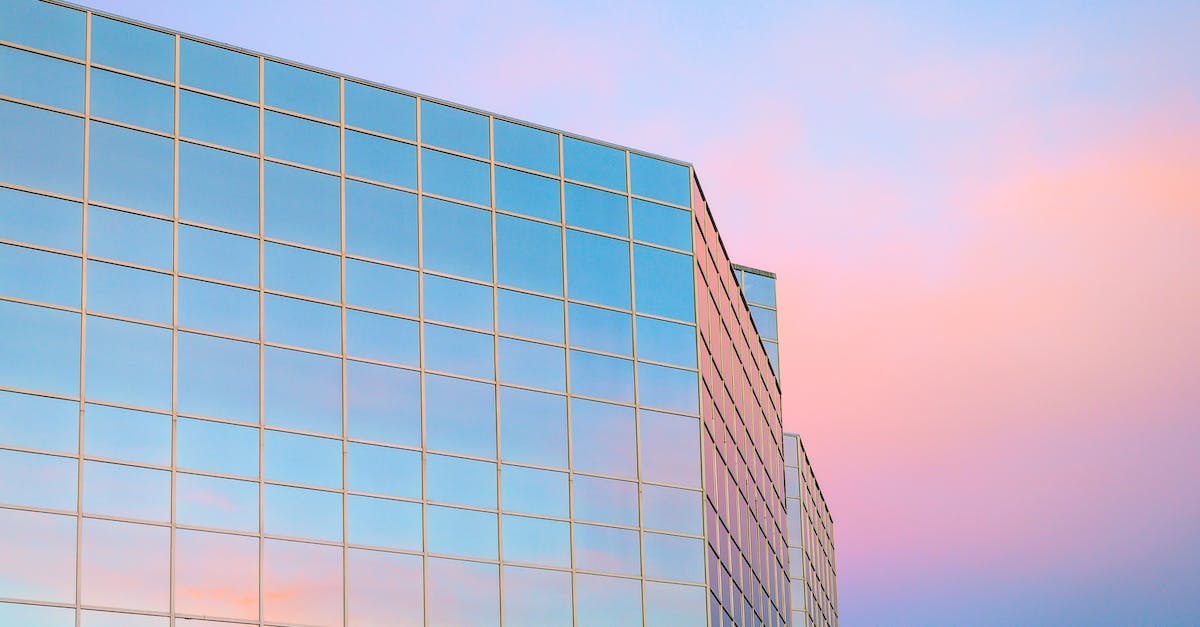 Thousand Cuts area seen from atop The Bunker - how to get to it? - Exterior of contemporary building with glass mirrored walls located in city against colorful sky at sunrise time