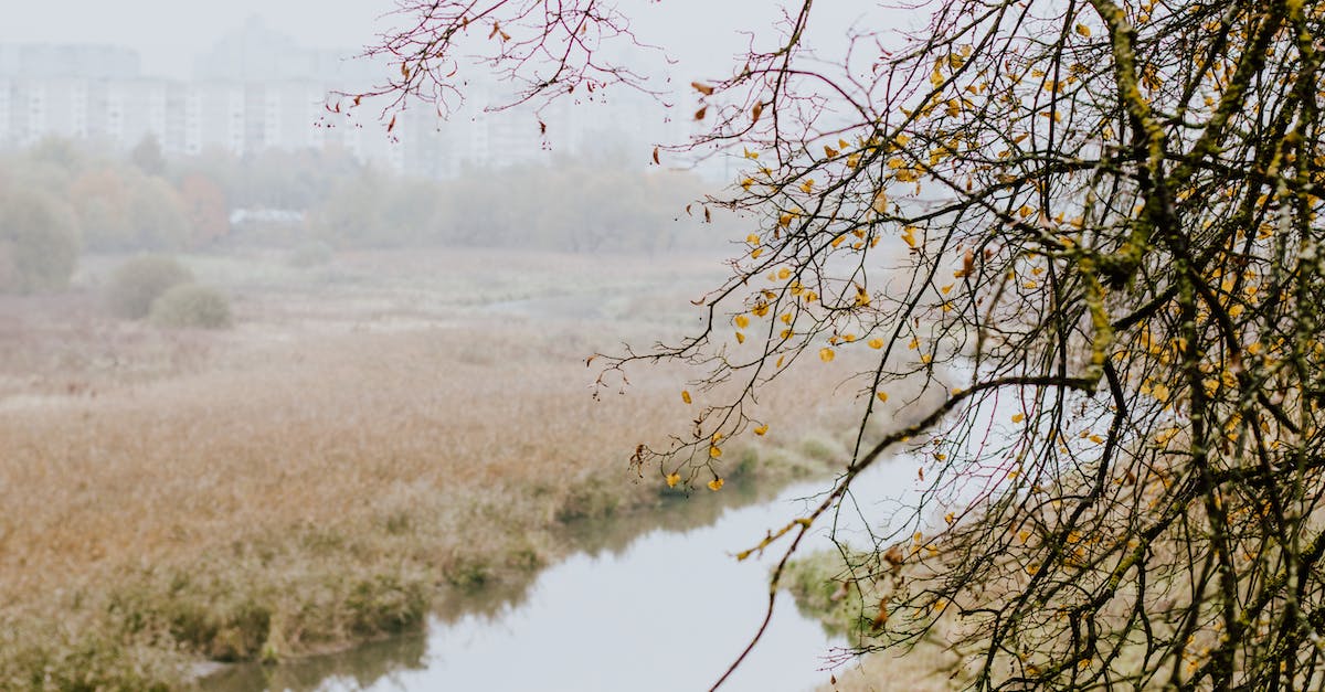 Throwing an ender pearl at a slime block while falling - Tree leafless trees above river bank with fields and buildings on background