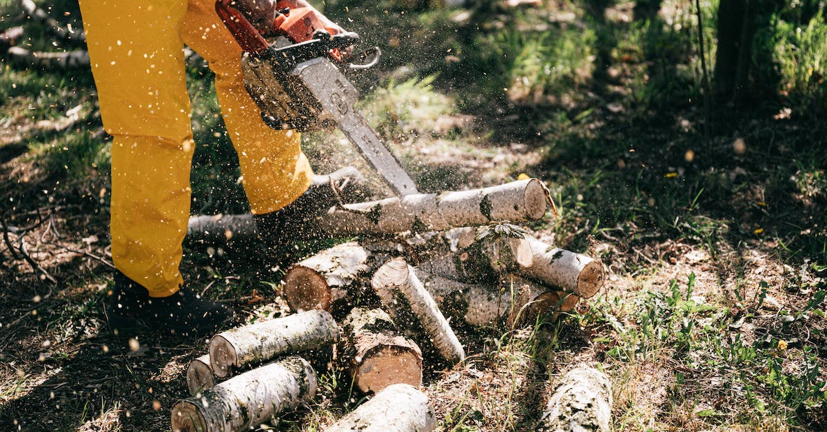 Timbersaw's Whirling Death and Timber Chain interaction - Lower body of crop anonymous person in yellow trousers lumbering log with gas chain saw in forest on summer day