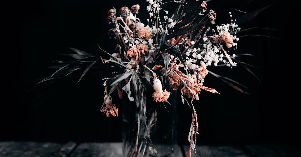 Timbersaw's Whirling Death and Timber Chain interaction - Transparent jar with dry rustic bouquet on aged timber table on black background Timbersaw's Whirling Death and Timber Chain interaction - Transparent jar with dry rustic bouquet on aged timber table on black background