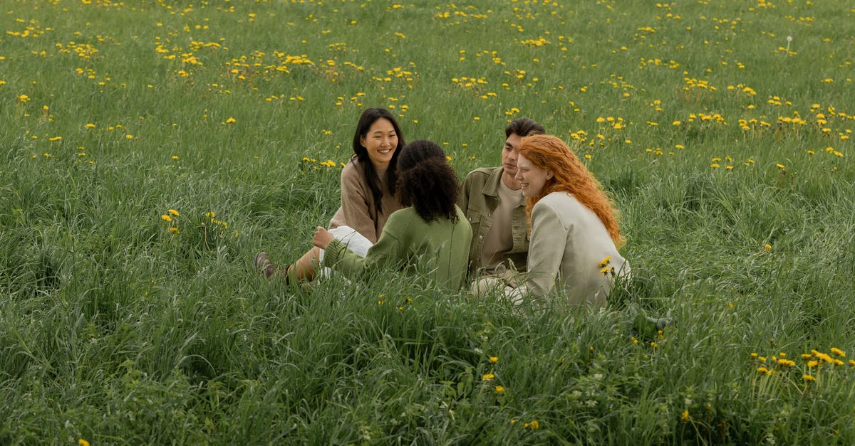 Timed out on Words With Friends 2 - Friends Hanging Out in a Flower Field Timed out on Words With Friends 2 - Friends Hanging Out in a Flower Field