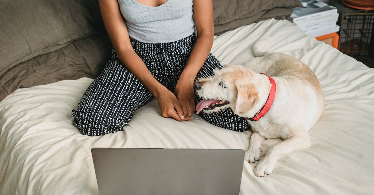 timing out when trying to connect to my own server using Hamachi - Calm woman browsing netbook while resting with dog at home