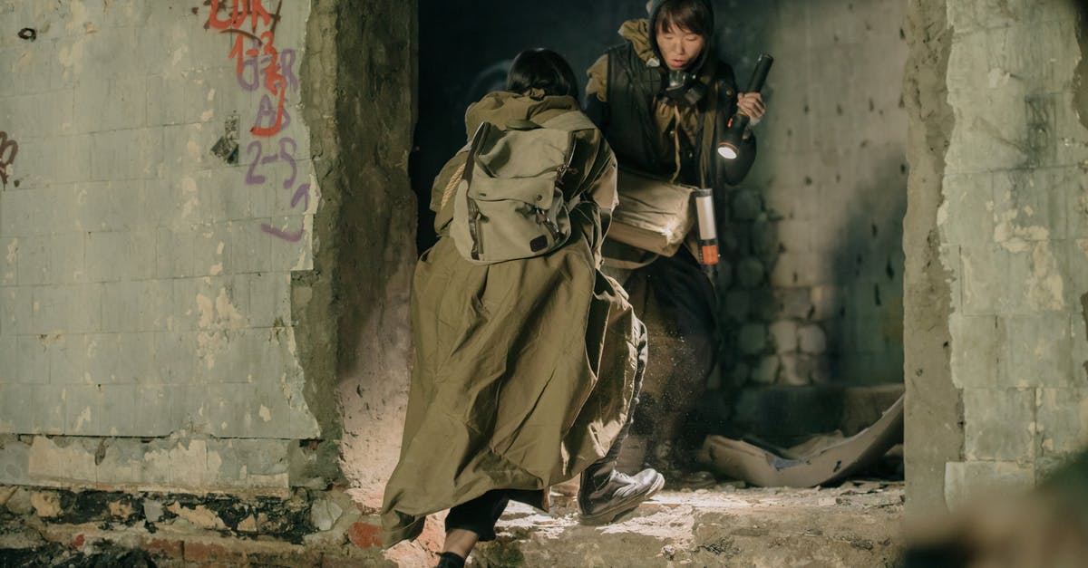 Tips on helping Dogmeat survive until the end in Fallout 1 - Man in Brown Coat Sitting on Gray Concrete Bench Tips on helping Dogmeat survive until the end in Fallout 1 - Man in Brown Coat Sitting on Gray Concrete Bench