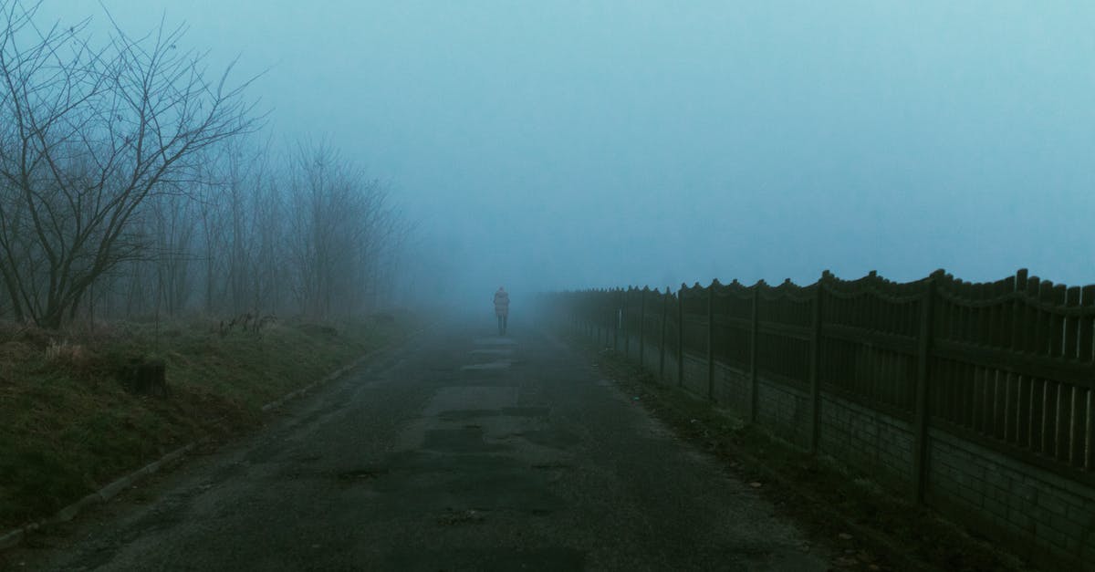 To what extent are the stories of The Walking Dead game series and the Walking Dead TV series connected? - Person Walking on Pathway Between Bare Trees