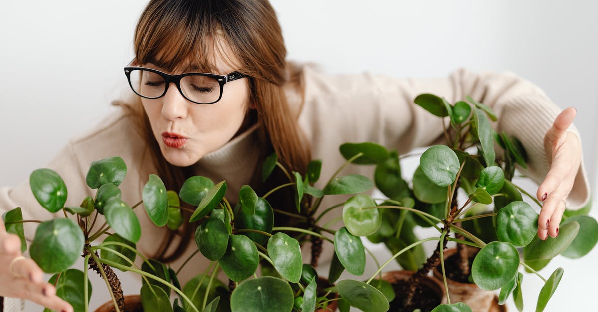 toomanyitems mod sidebar not showing - Woman Showing Love to Plants