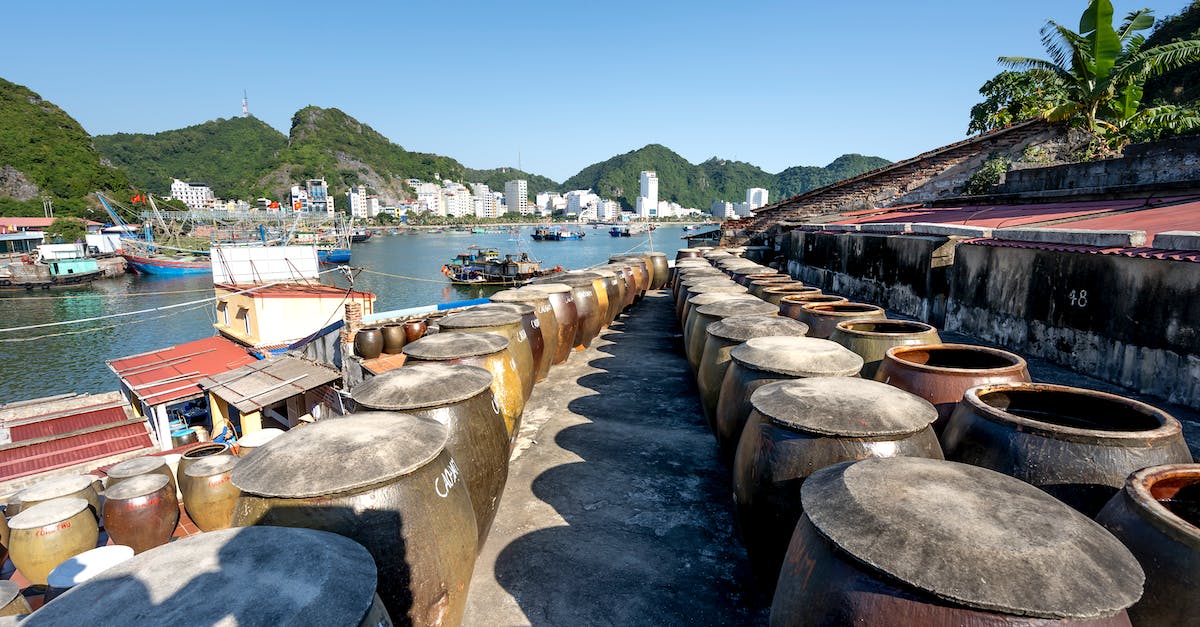 Town Census not Showing all Kittens - Barrels Standing on a Shore in Cat Ba Town, Cat Ba Island, Vietnam