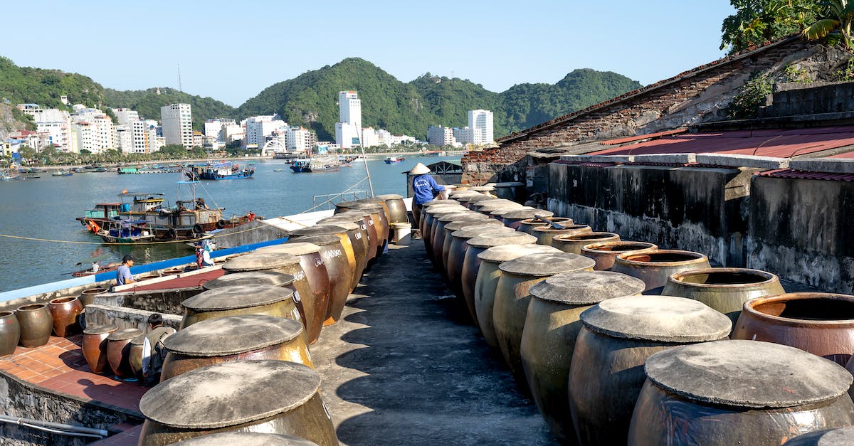 Town Census not Showing all Kittens - Brown Wooden Barrels on Gray Concrete Floor Near Body of Water